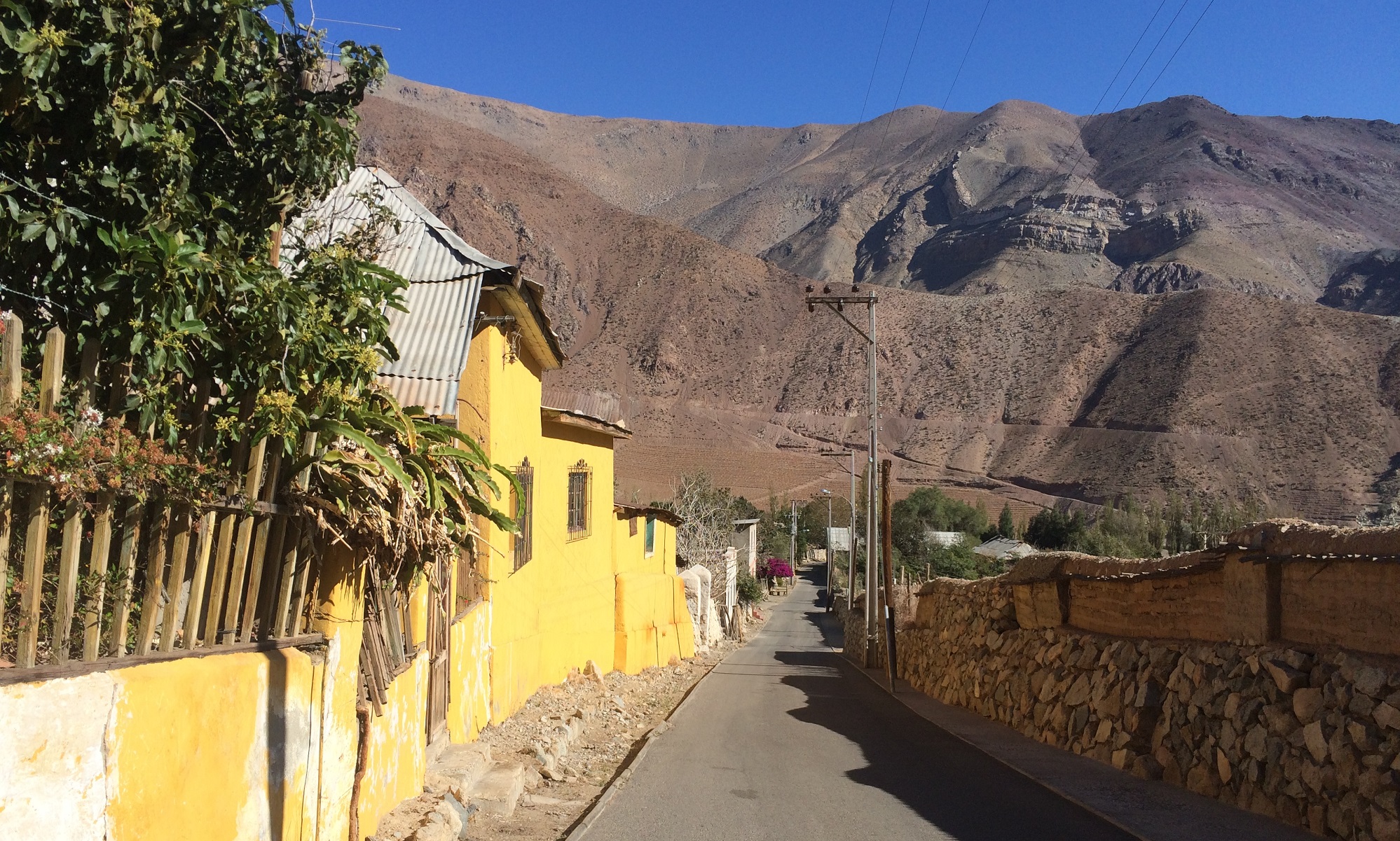 Valle de Elqui /  El Damascal