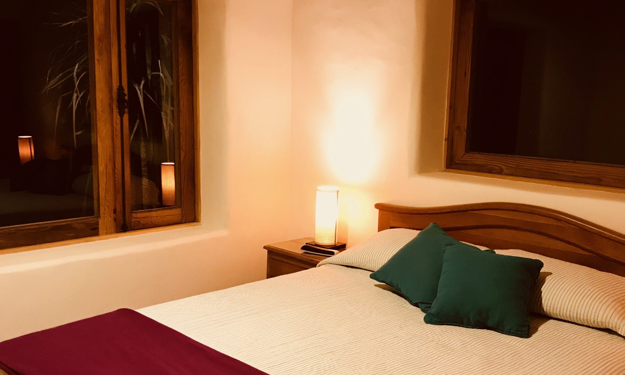 Valle de Elqui / El Damascal