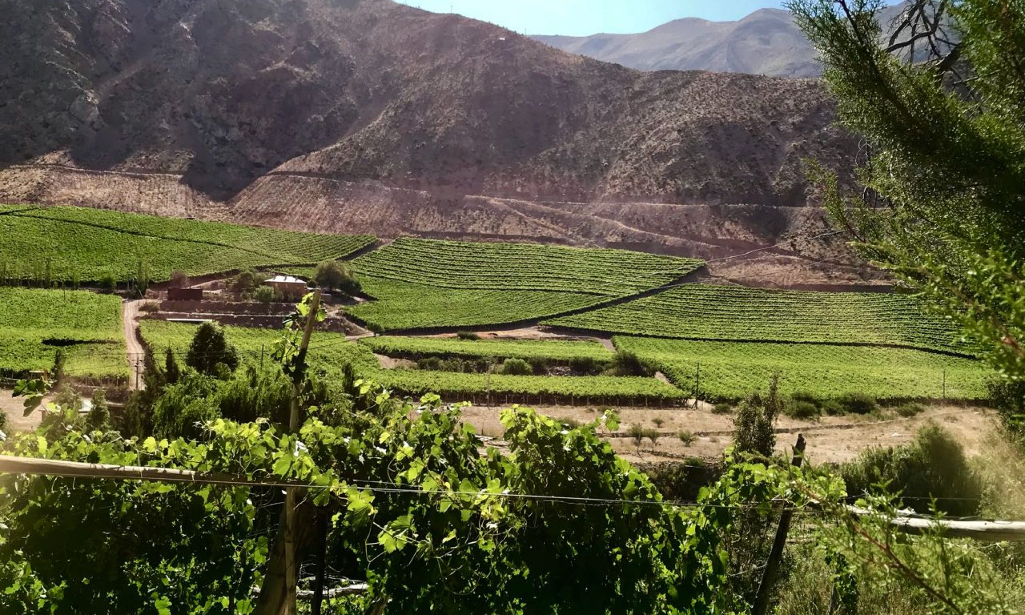 Valle de Elqui /  El Damascal