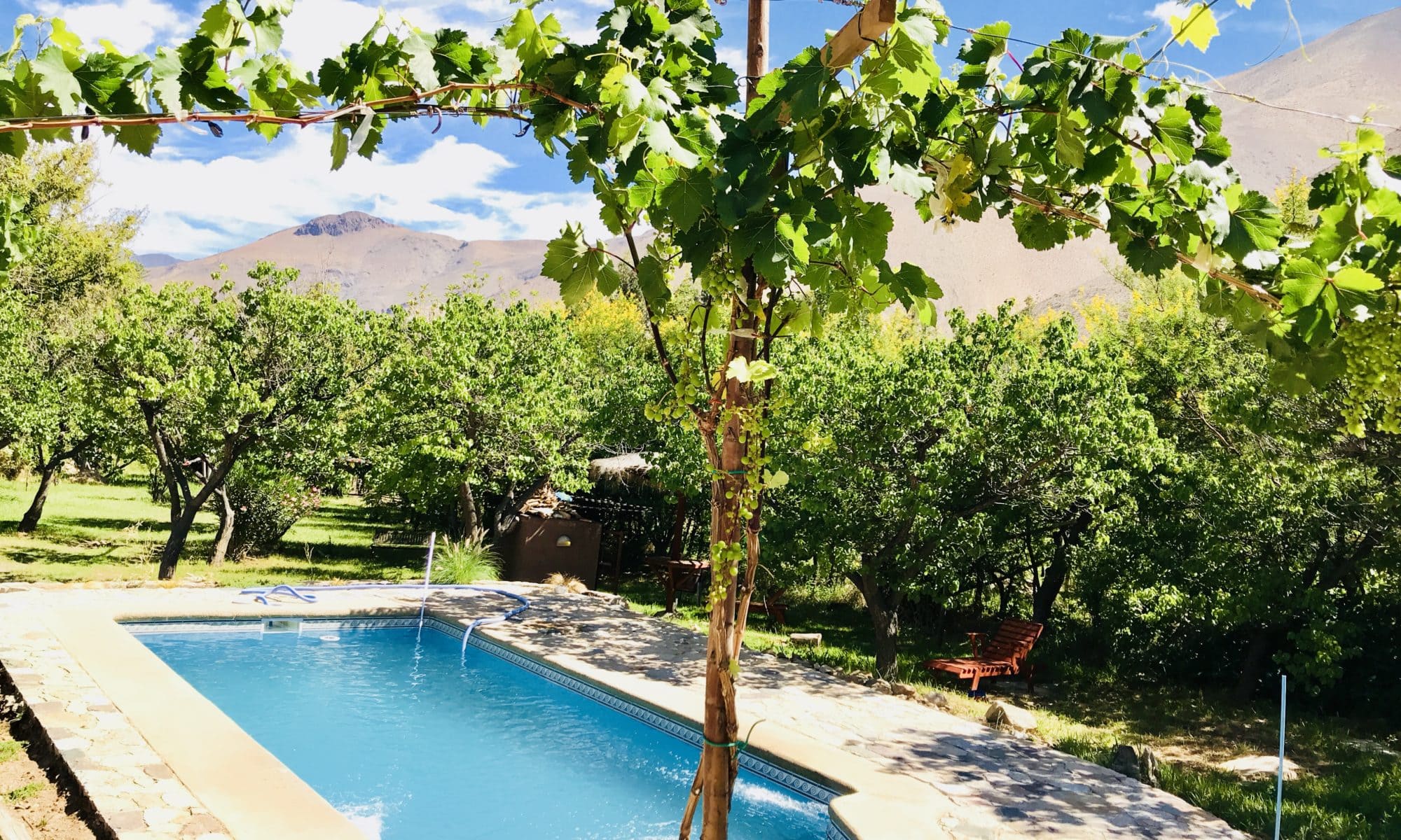 Valle de Elqui /  El Damascal