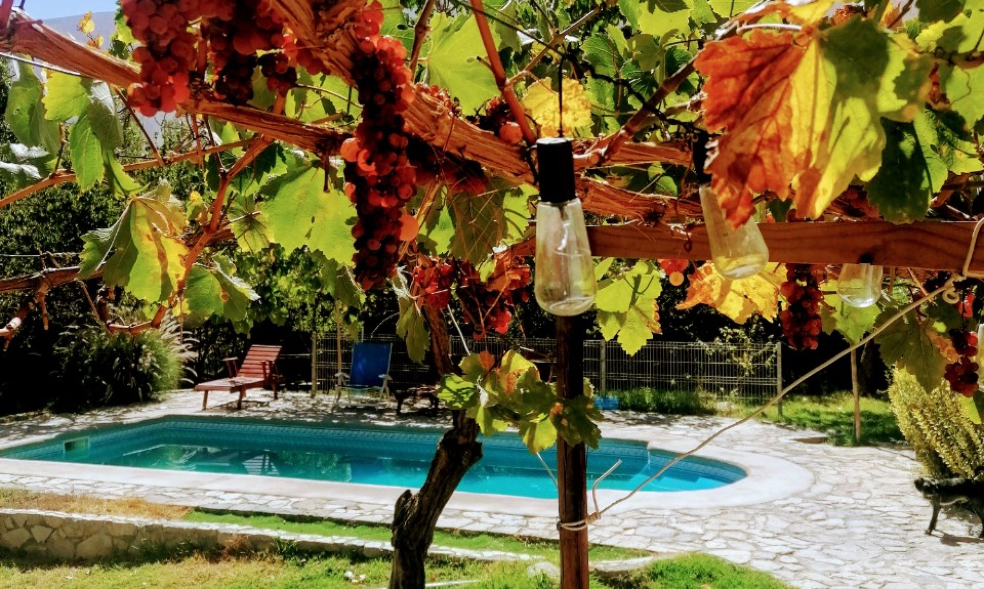 Valle de Elqui /  El Damascal