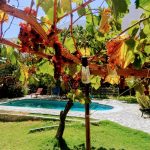 vista de la casa a la piscina