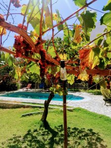 vista de la casa a la piscina